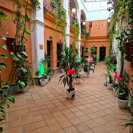 Alojamiento Rural Flamingo El Rocio Ngoại thất bức ảnh
