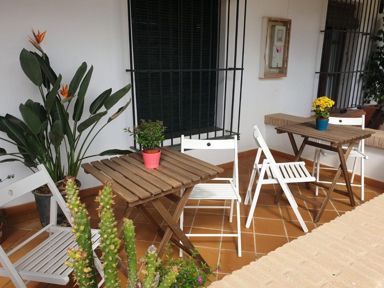 Alojamiento Rural Flamingo El Rocio Ngoại thất bức ảnh